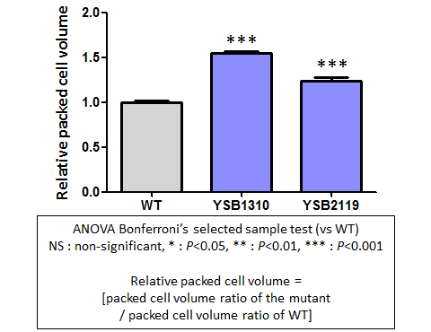 Capsule phenotype for CNAG_06809T0