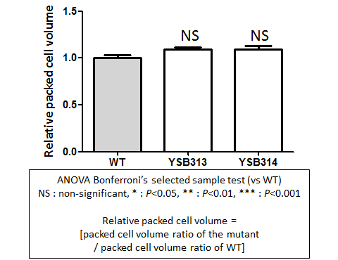 Capsule phenotype for CNAG_06980T0