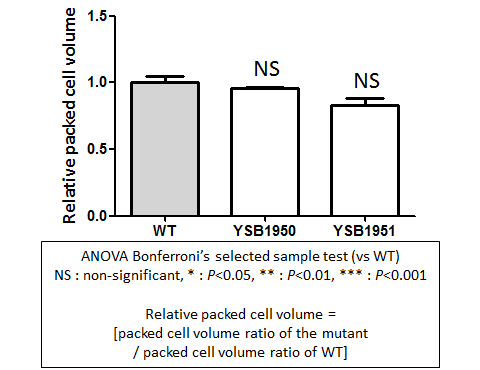 Capsule phenotype for CNAG_07359T0