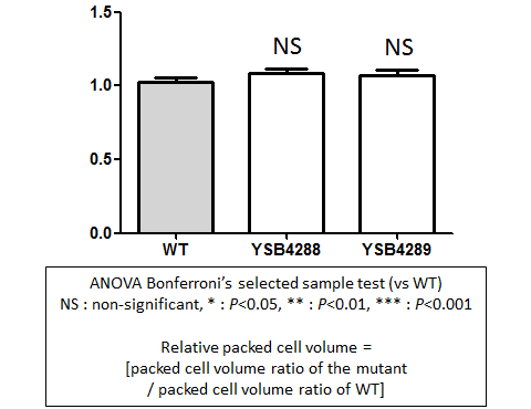 Capsule phenotype for CNAG_07372T0