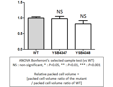 Capsule phenotype for CNAG_07667T0