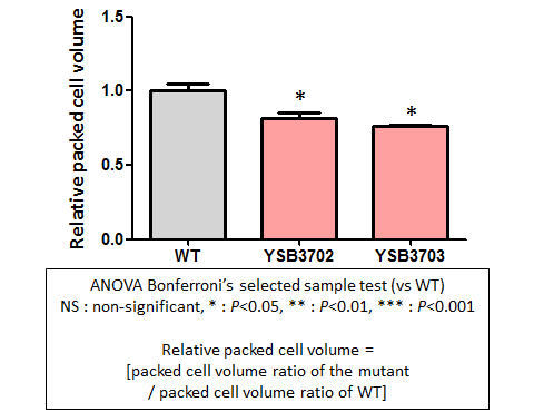 Capsule phenotype for CNAG_08022T1