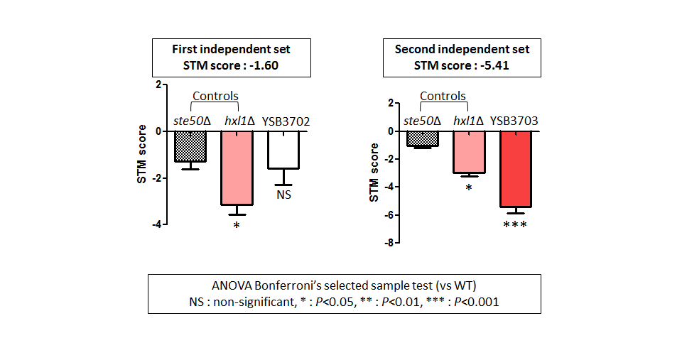 STM murine host model data for CNAG_08022T1