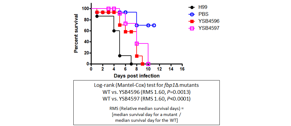 Galleria mellonella virulence data