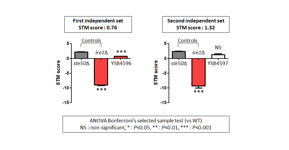 STM murine host model data