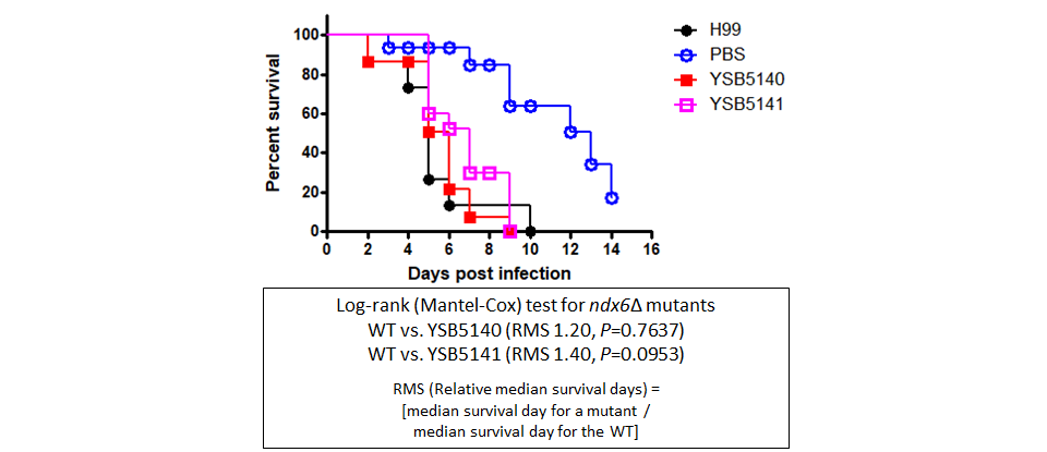 Galleria mellonella virulence data