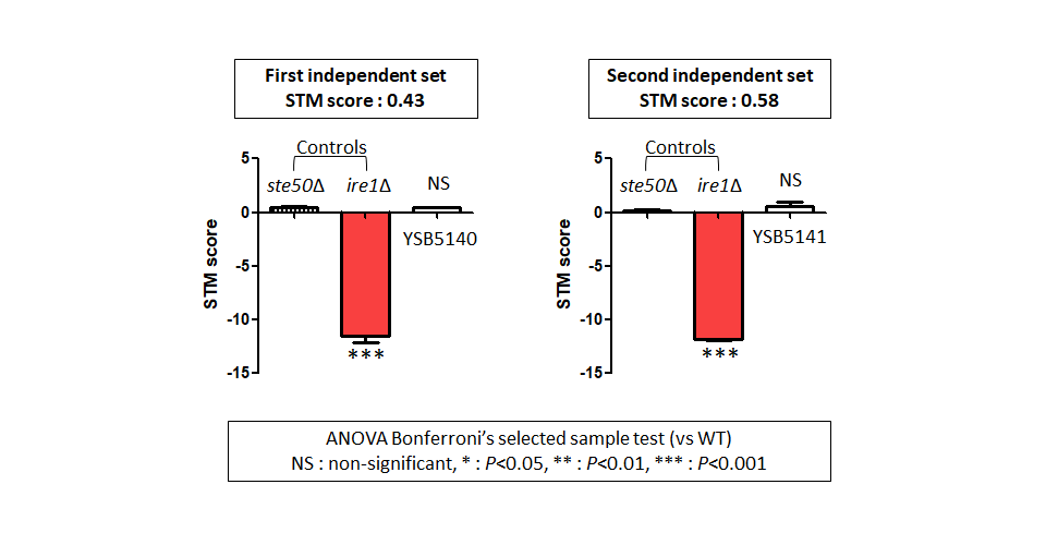 STM murine host model data