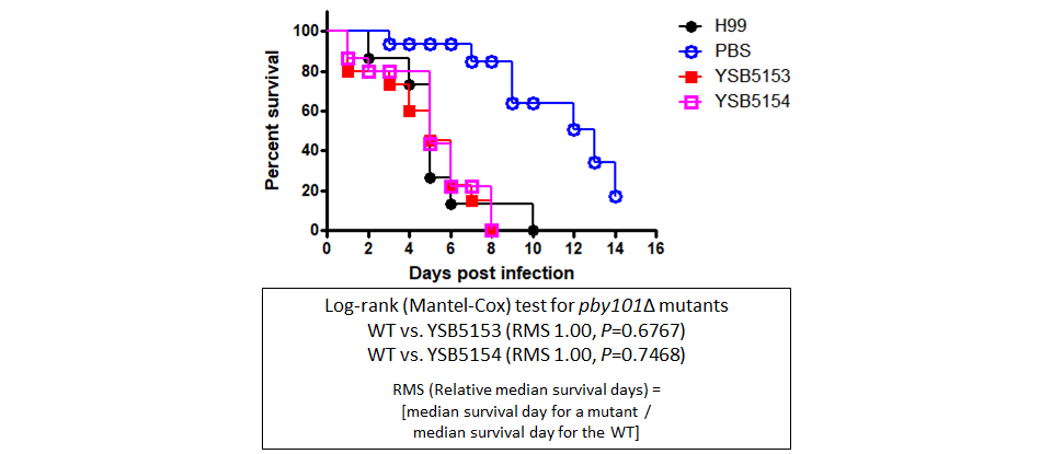 Galleria mellonella virulence data