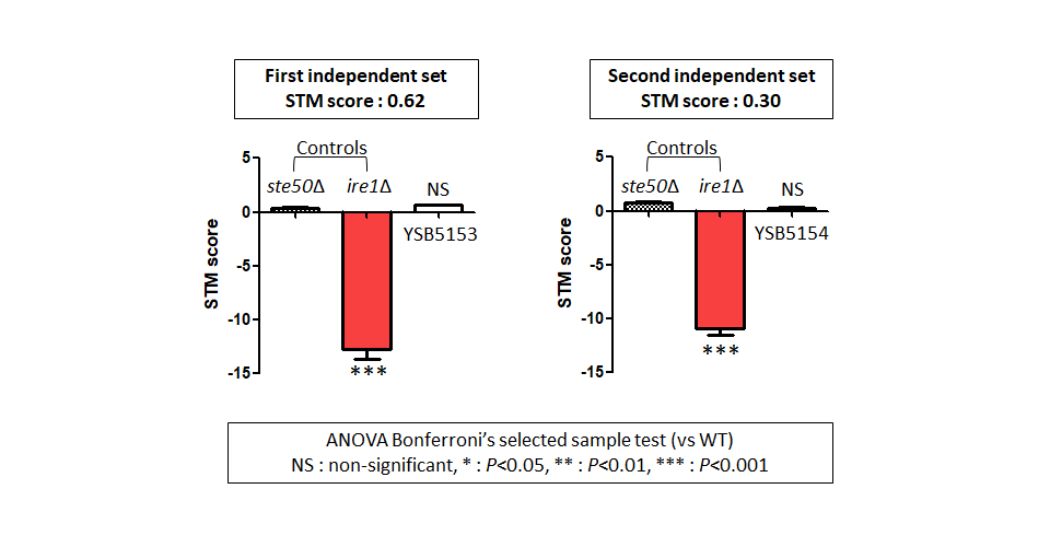 STM murine host model data