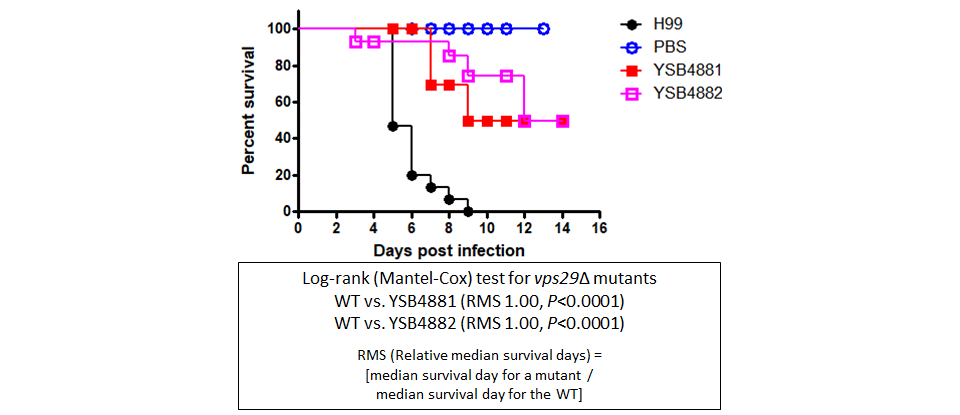 Galleria mellonella virulence data