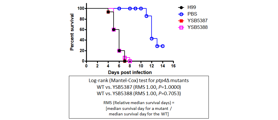 Galleria mellonella virulence data