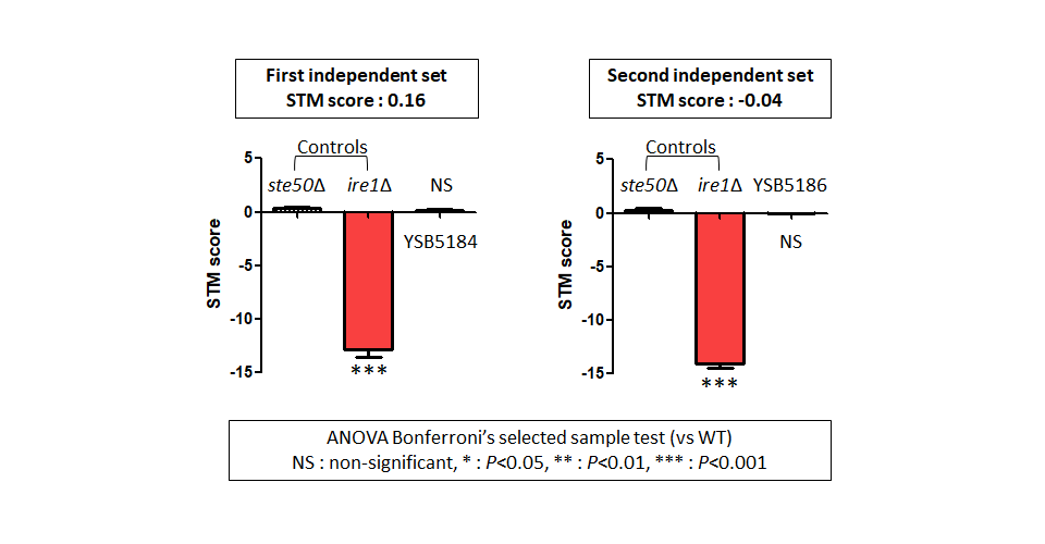 STM murine host model data