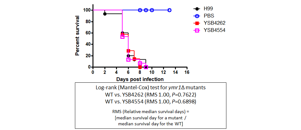 Galleria mellonella virulence data