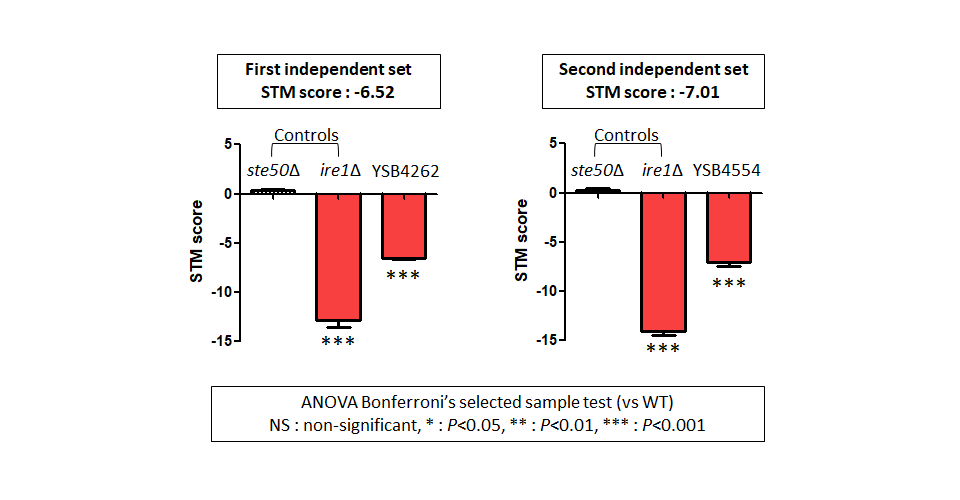 STM murine host model data