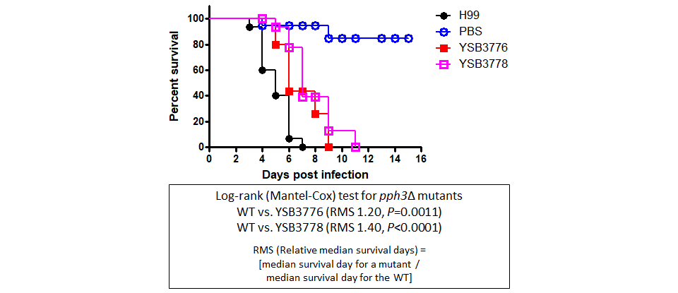 Galleria mellonella virulence data