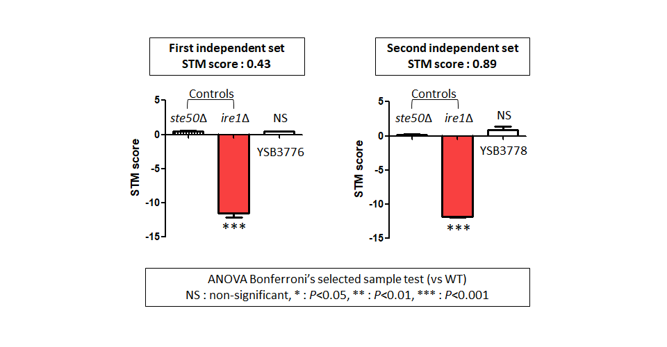 STM murine host model data