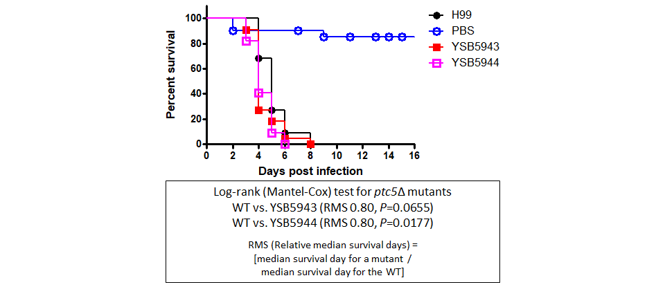 Galleria mellonella virulence data