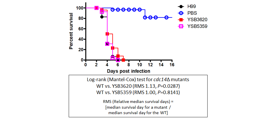 Galleria mellonella virulence data