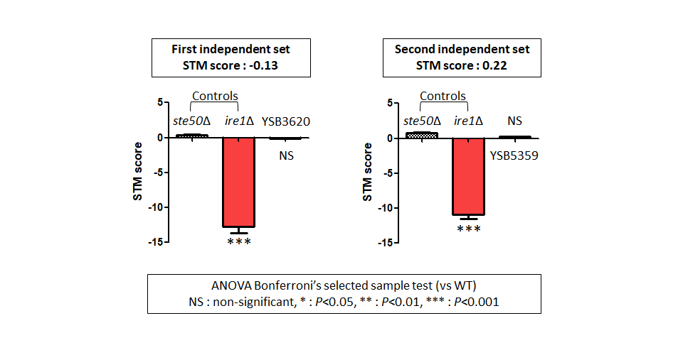 STM murine host model data