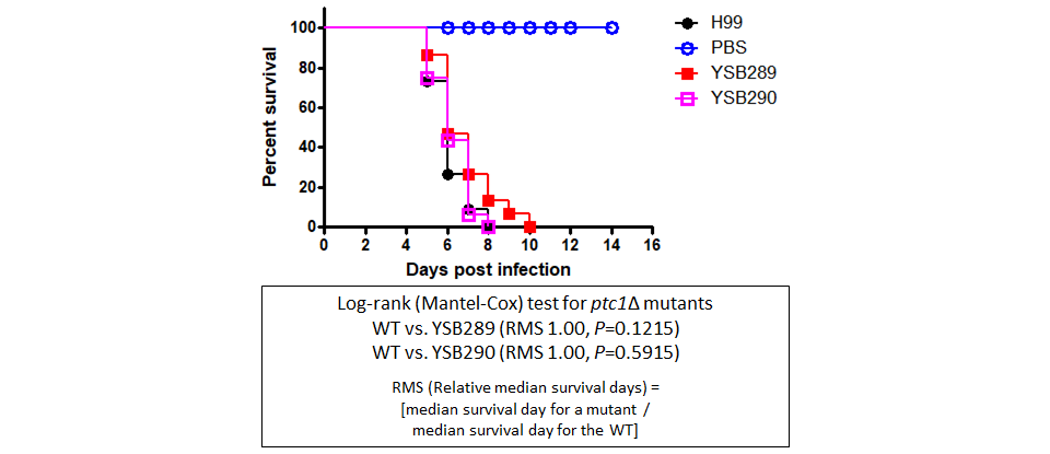 Galleria mellonella virulence data