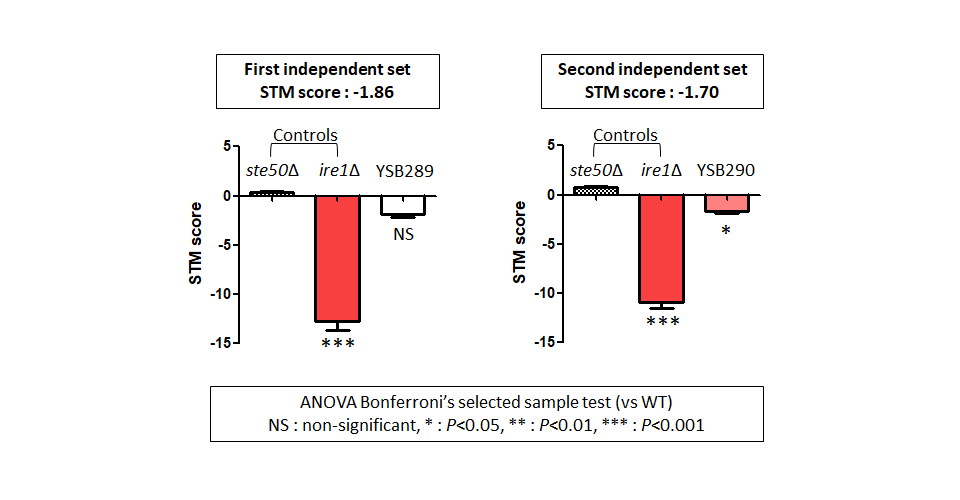 STM murine host model data