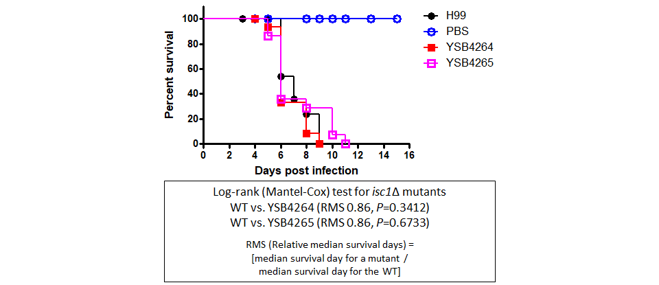 Galleria mellonella virulence data