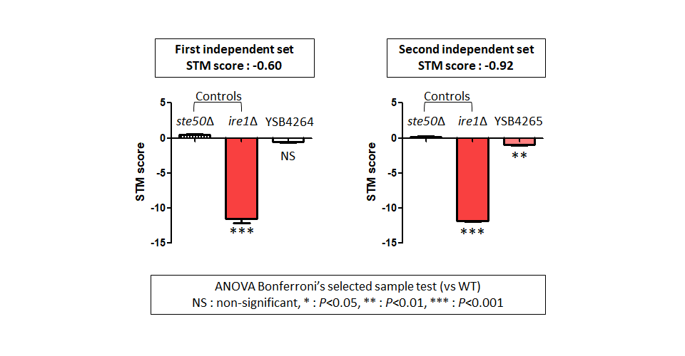 STM murine host model data