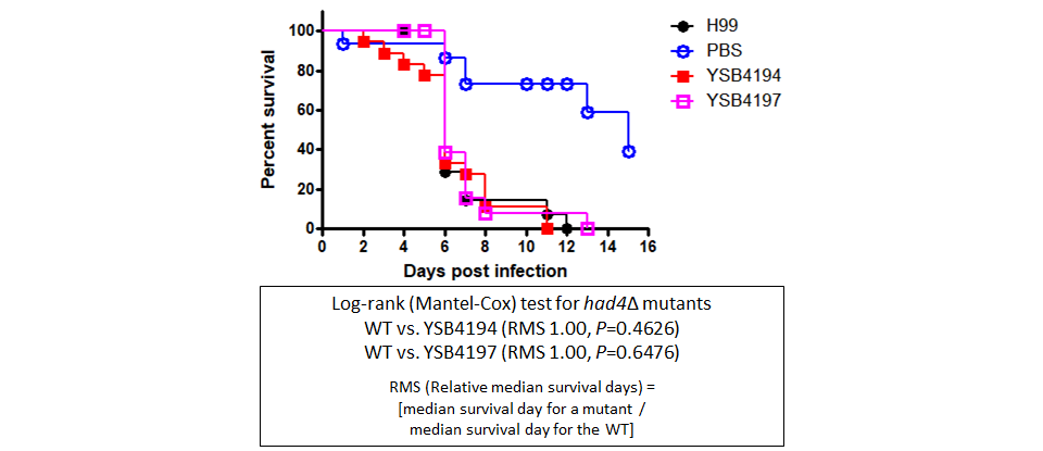 Galleria mellonella virulence data