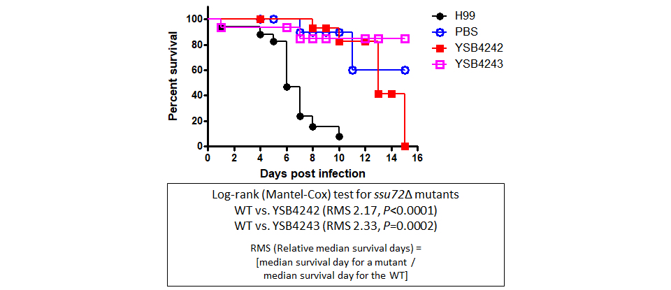 Galleria mellonella virulence data