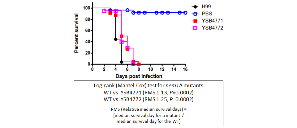 Galleria mellonella virulence data