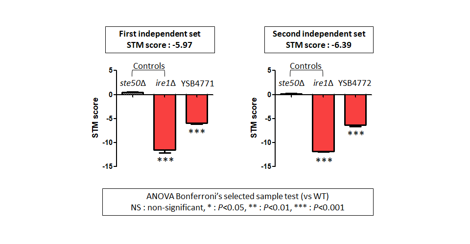 STM murine host model data