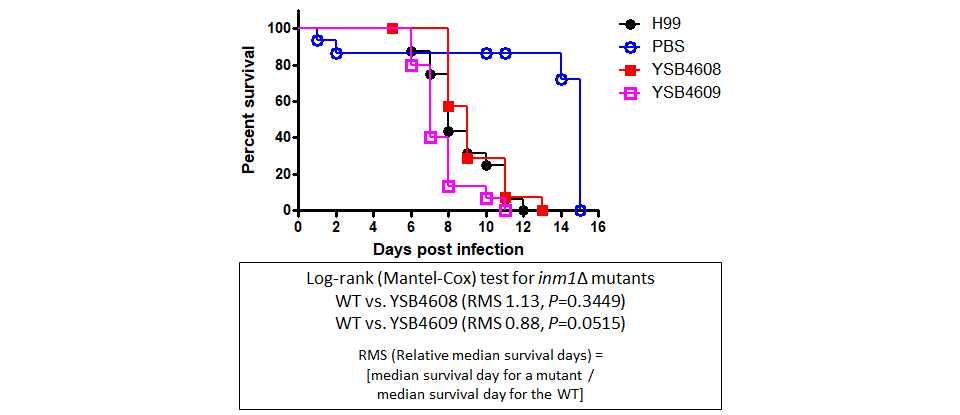 Galleria mellonella virulence data