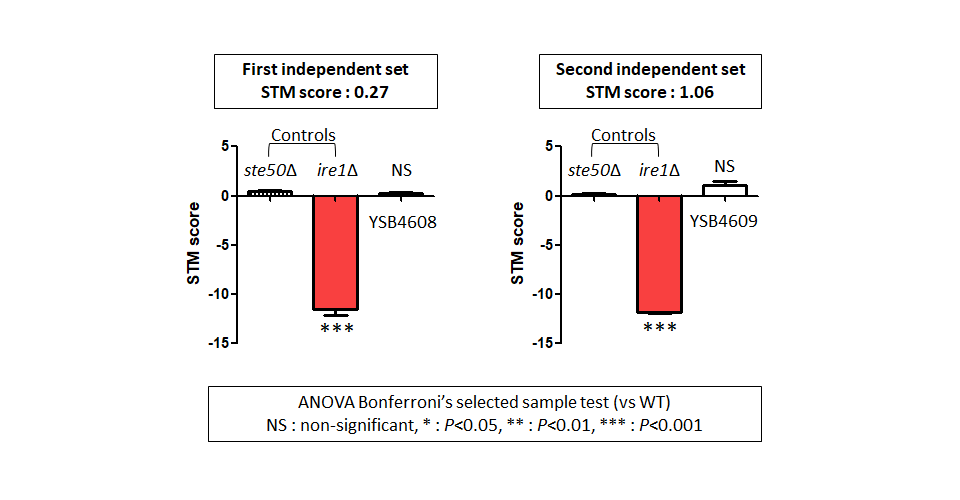 STM murine host model data