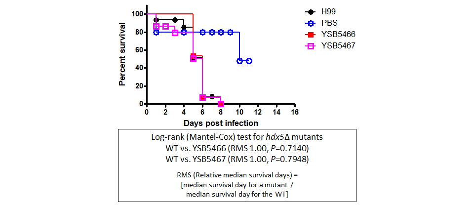 Galleria mellonella virulence data