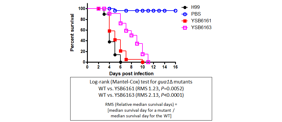 Galleria mellonella virulence data