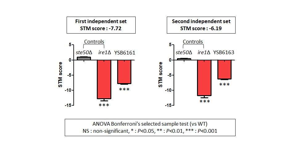 STM murine host model data