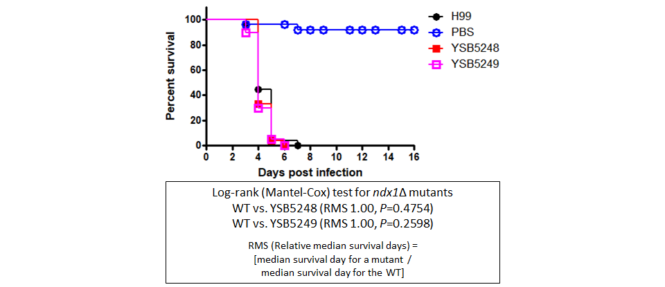 Galleria mellonella virulence data