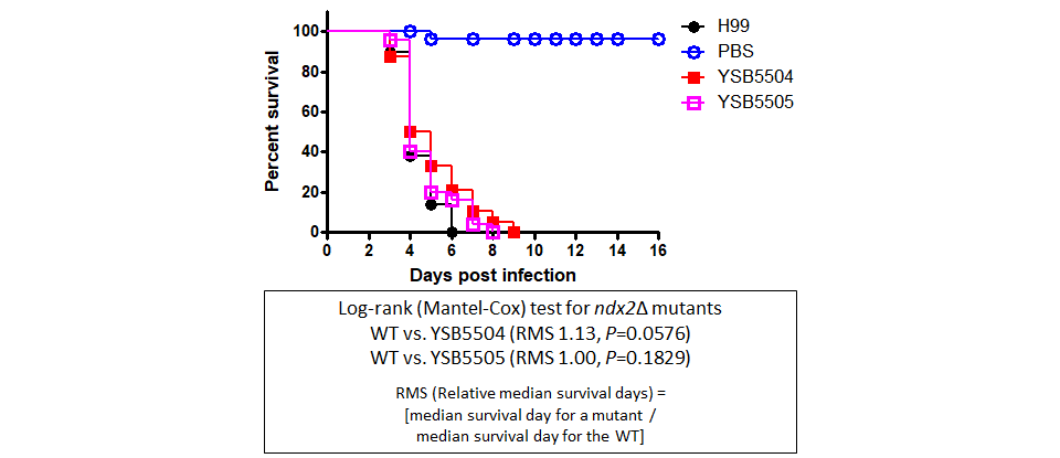 Galleria mellonella virulence data