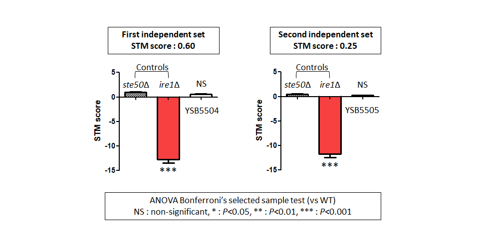 STM murine host model data