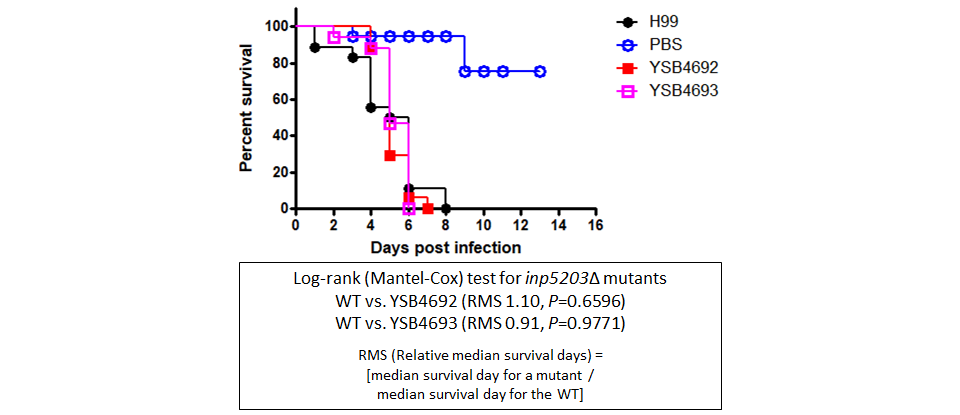 Galleria mellonella virulence data
