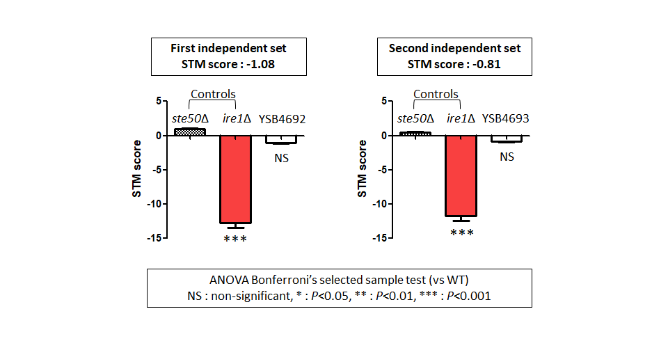 STM murine host model data