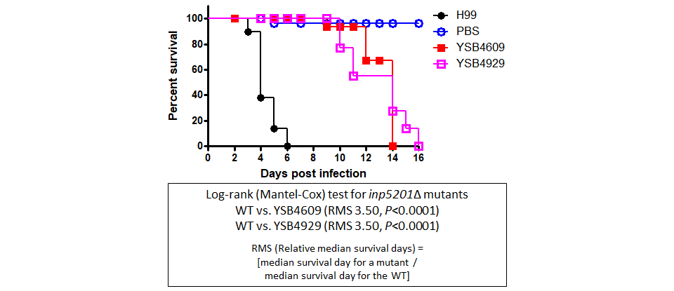 Galleria mellonella virulence data