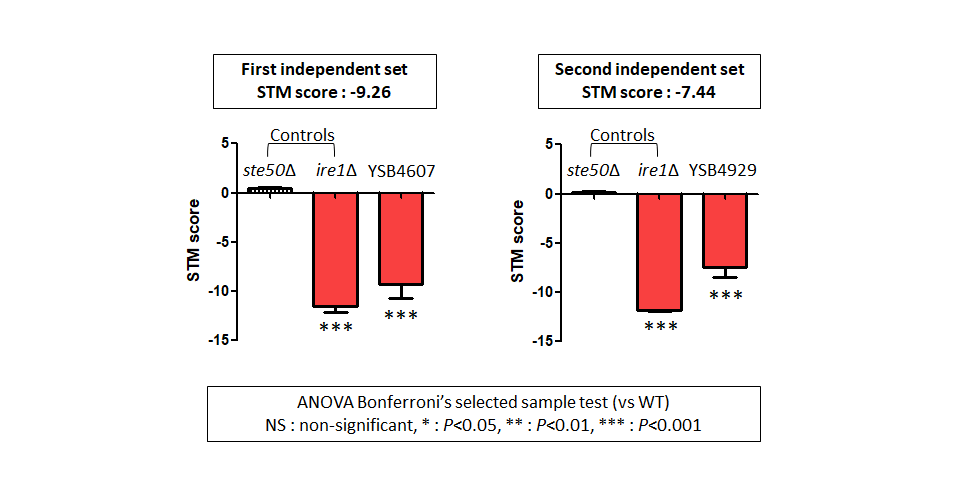 STM murine host model data