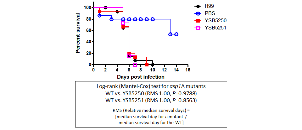 Galleria mellonella virulence data