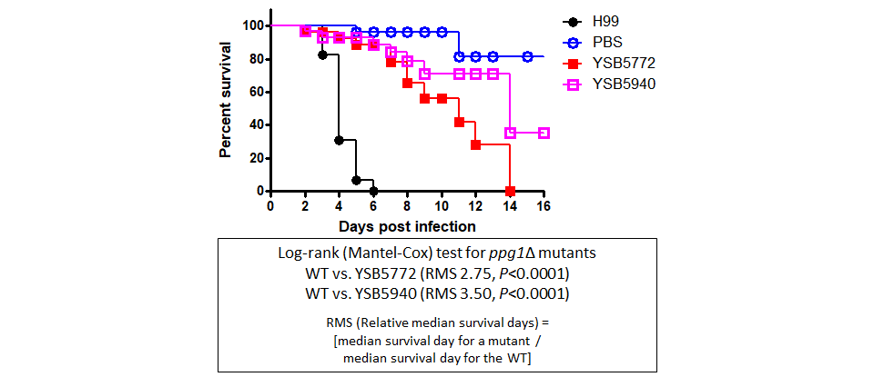 Galleria mellonella virulence data