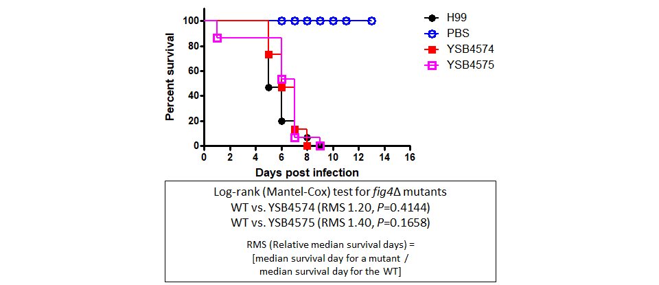 Galleria mellonella virulence data