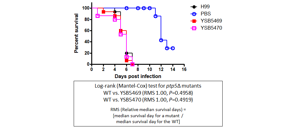 Galleria mellonella virulence data