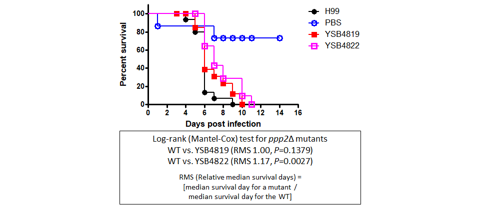 Galleria mellonella virulence data