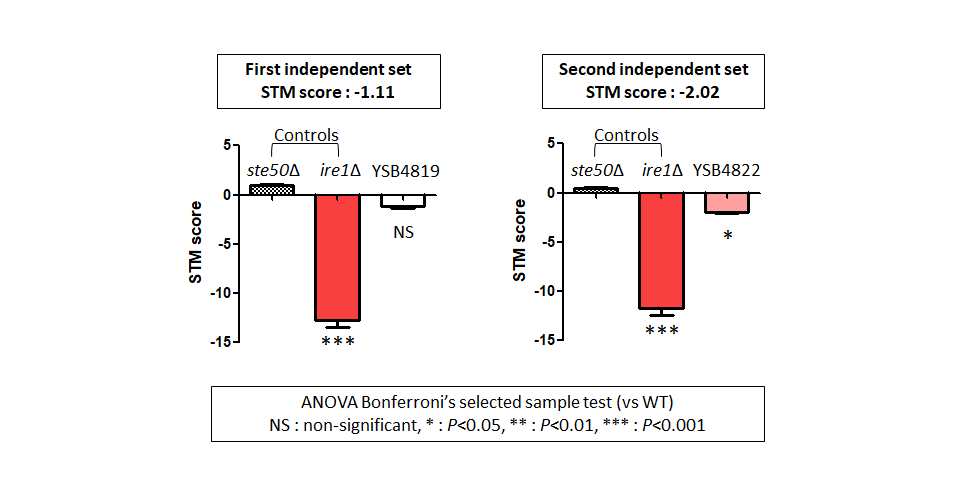STM murine host model data