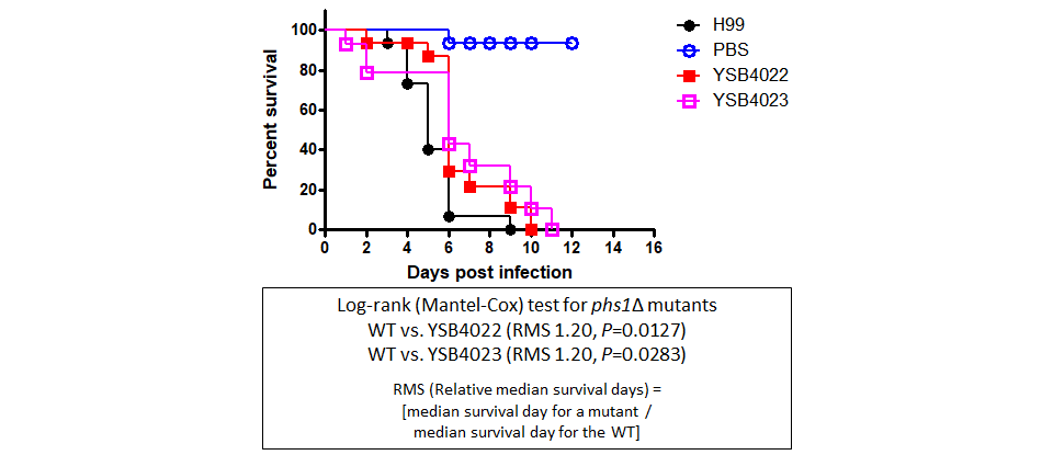 Galleria mellonella virulence data